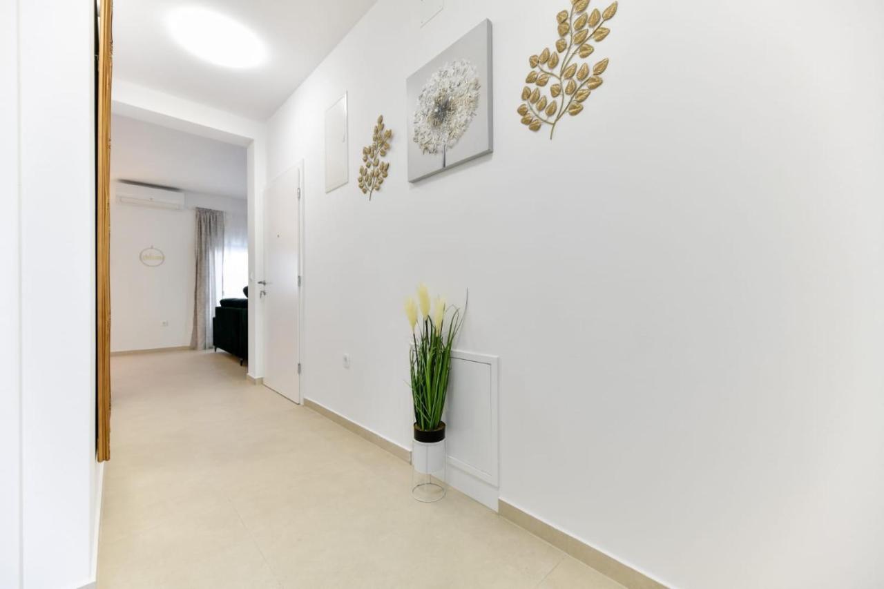 Family Apartment Amare Zadar Exterior photo